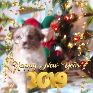 Meet your Posher, Coral